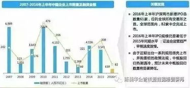股权投资如何操作最赚钱 实战策略与核心原则